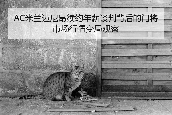 AC米兰迈尼昂续约年薪谈判背后的门将市场行情变局观察